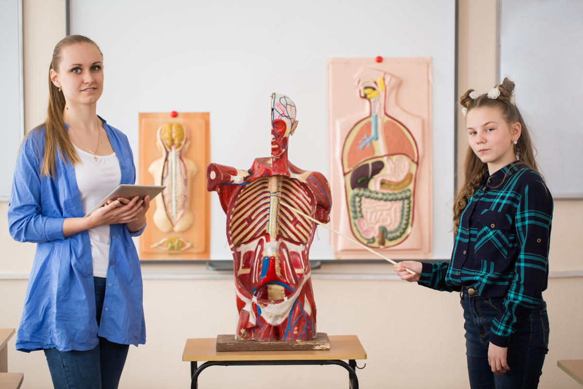 secrets anatomie